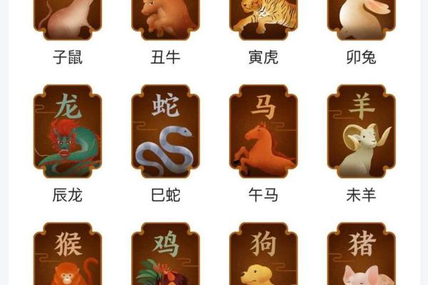 属兔人的命理解析：木命与五行的深度联系