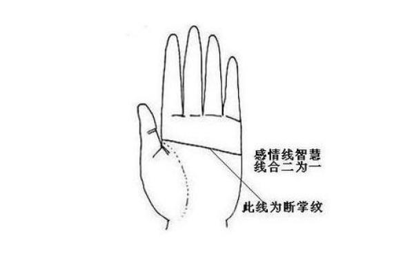 双断掌的女人：命运的独特之路与生活的智慧