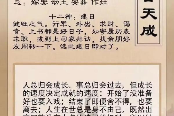 2004年出生的人与命运的契合：探索理想的生肖搭档