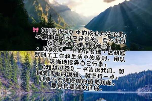 都是命的意义：探索人生中的命运与选择