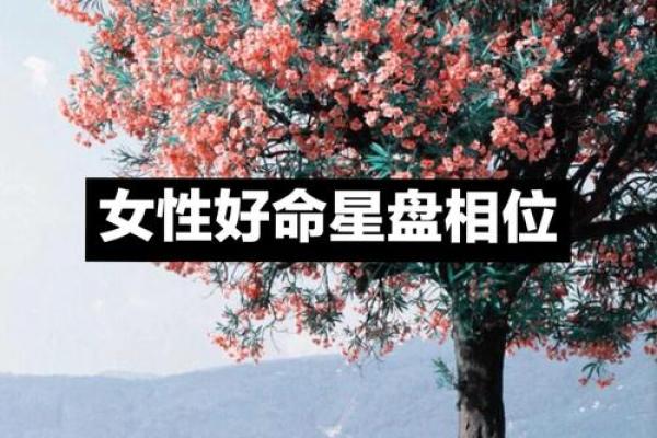 女人堕胎与命格：探索命运背后的深层含义与影响