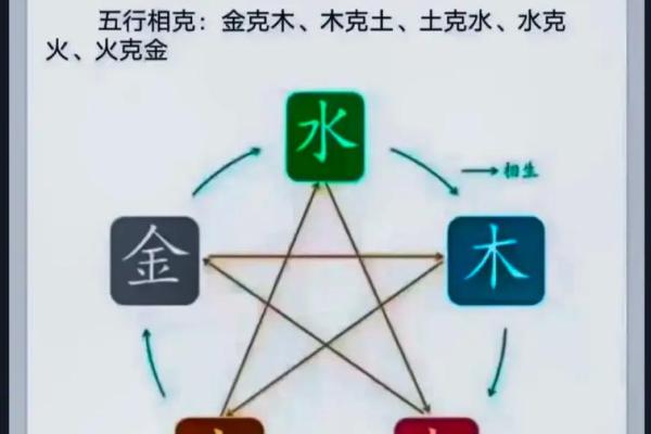 金命人适合养什么植物？探寻五行中的生机与自然之美