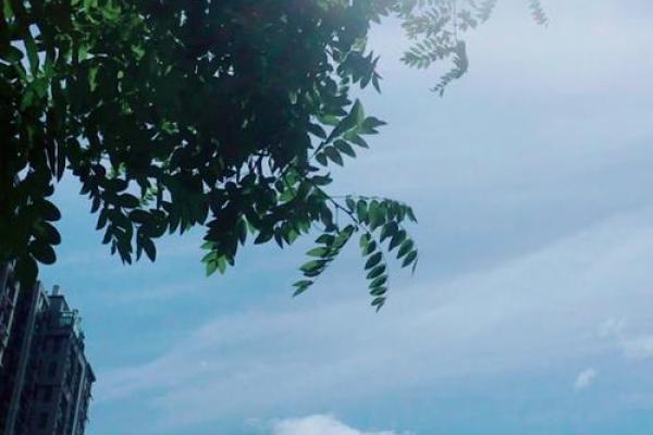 太阳火命的颜色搭配：让生活充满阳光与活力！
