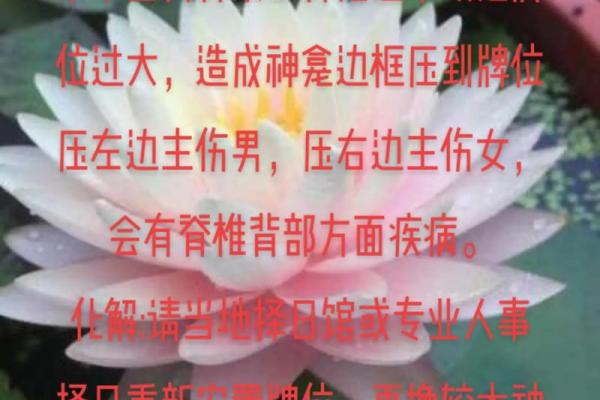 解密命理：根据命缺什么就补什么，助你迎接好运！