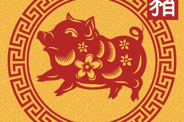 属猪之命：寻找人生的方向与自我实现的小说之旅