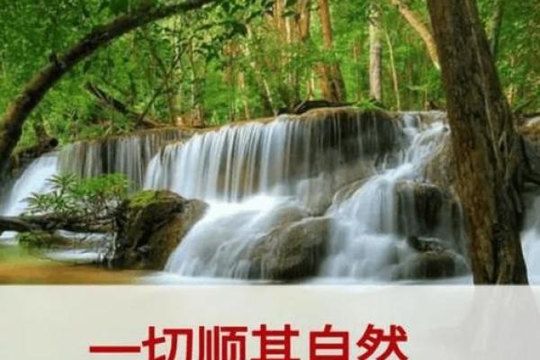 命什么有什么莫强求，顺其自然的智慧之道