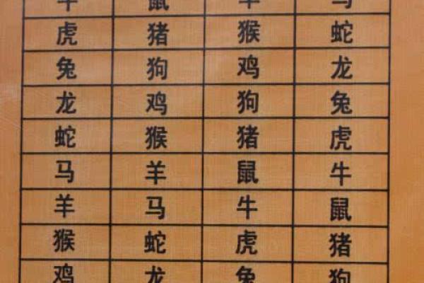 1992属狗女性命运解析：勇敢与温柔的完美结合