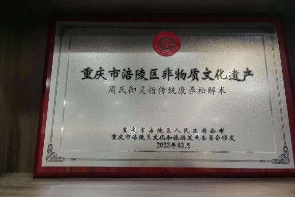 养生等于养命：生活中的注意事项与实践分享