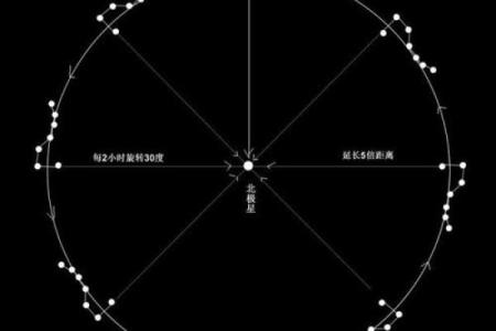 走月亮的人：命运之路的探索与启示