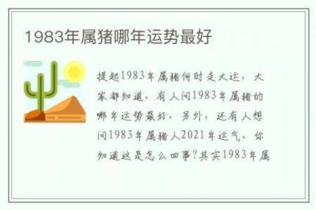 1971年属猪的人：土命的独特魅力与运势解析