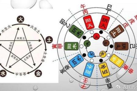女人54岁属什么命？探秘五行与命运的奥秘