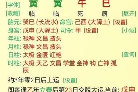 探寻命理奥秘：富贵土命的意义与人生启示