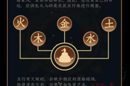 1935年属猪的命运解析：探秘五行与人生的奇妙联系