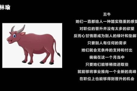 水牛命之家居摆放指南：助你提升运势，迎接幸福生活！