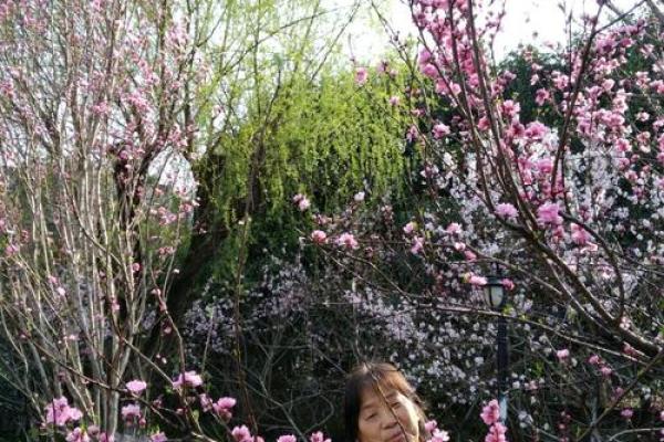 回首2007年正月，探寻那一缕春意盎然的时光秘籍