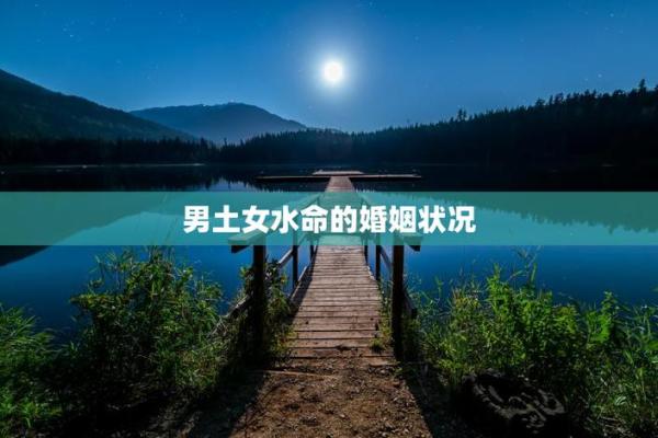1979年水命人的命运与人生启示
