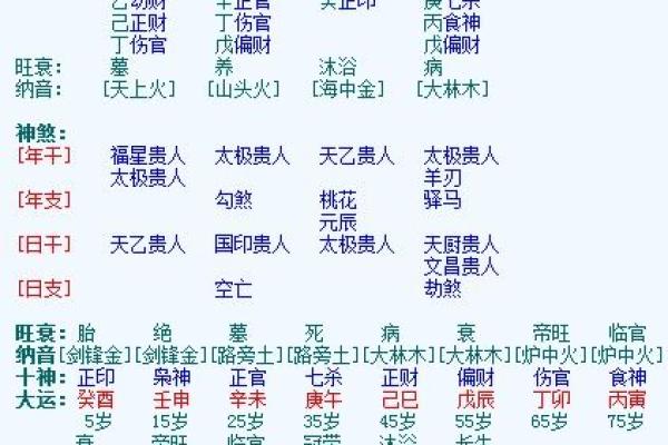 探讨甲戌年狗命与命理的深刻关联与启示
