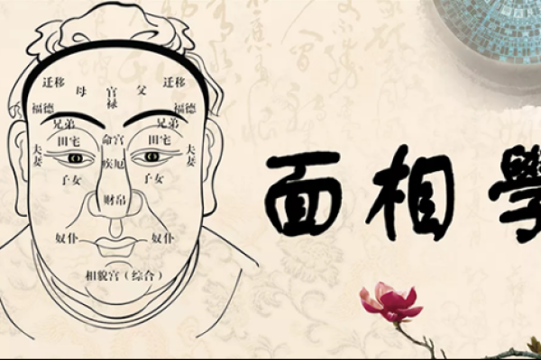 面相解读：揭示“白痴命格”的特征与生活影响
