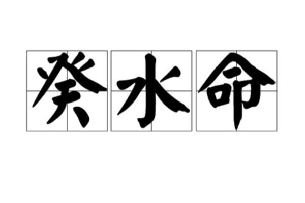 癸水命的职业选择：适合你的工作领域与发展方向