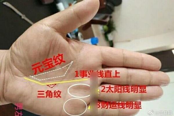 圆指头的人命运揭秘：性格与生活的密码