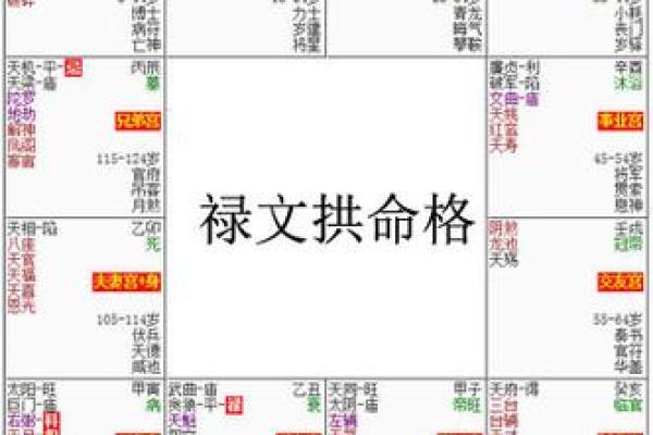 解读紫微命盘：探寻命运与职场成功的奥秘