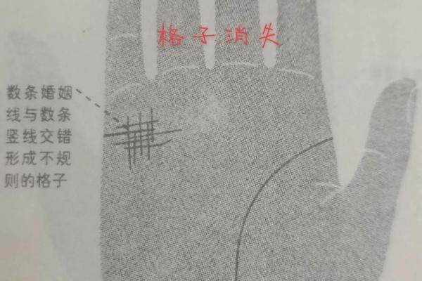 揭示手纹奥秘：探寻晚婚命格的秘密