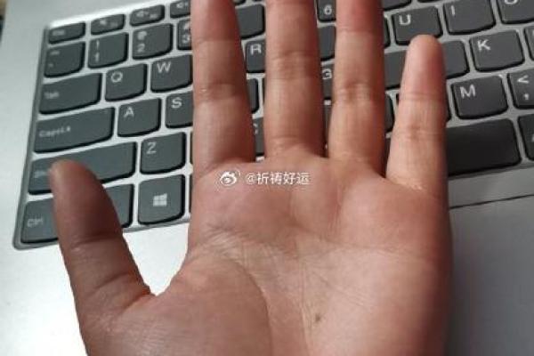 手相与命运：为什么看似精准却命运多舛？