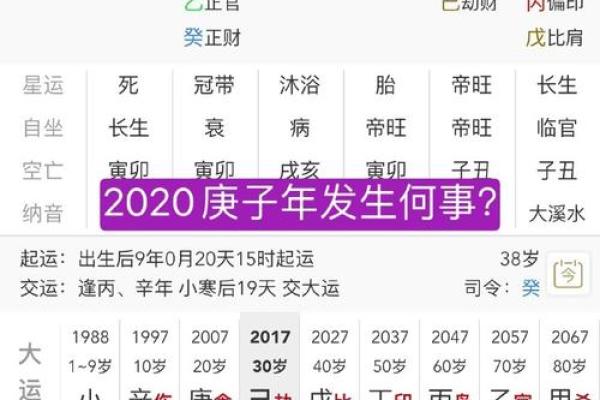 庚子年命运解析：解读2020年背后的命理之道