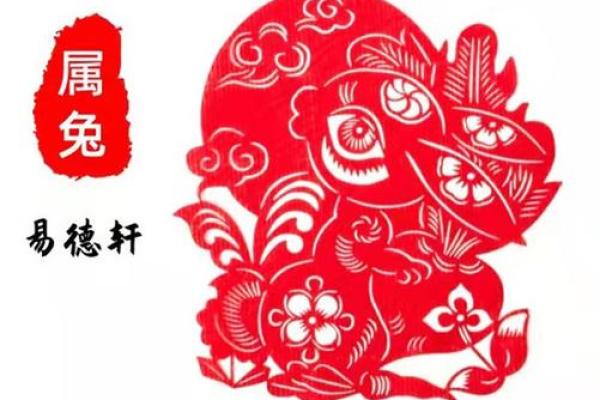 1987年兔年命运解析：揭示生肖兔的性格与运势