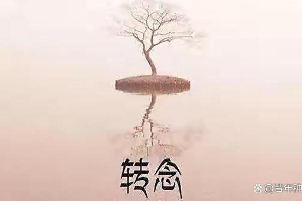 大人83岁是什么命？浅析老年人的命运与生活智慧