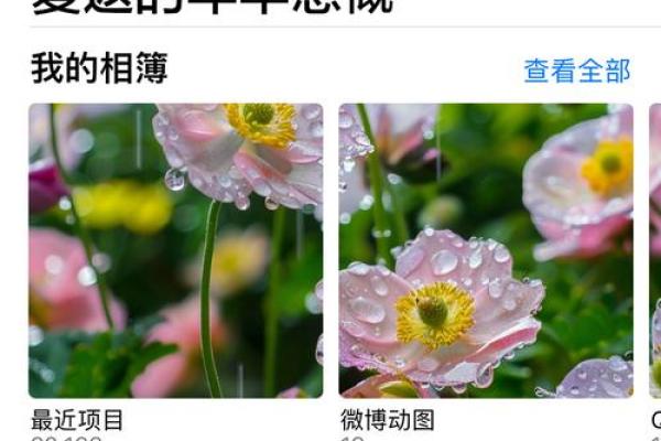 1981年的回忆：浓烈的岁月印记与梦幻的青春岁月
