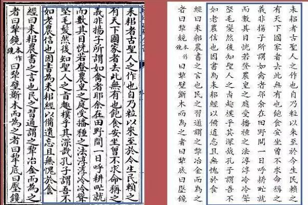 探索学士命：命理学中潜藏的智慧与机遇