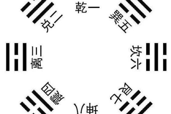 解析五行之道：五行与命运的奇妙联系