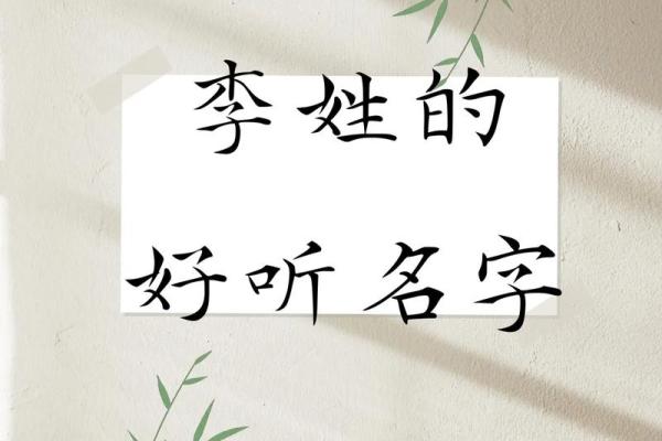 李姓男婴命名解析：为孩子取个好名字的重要性与技巧