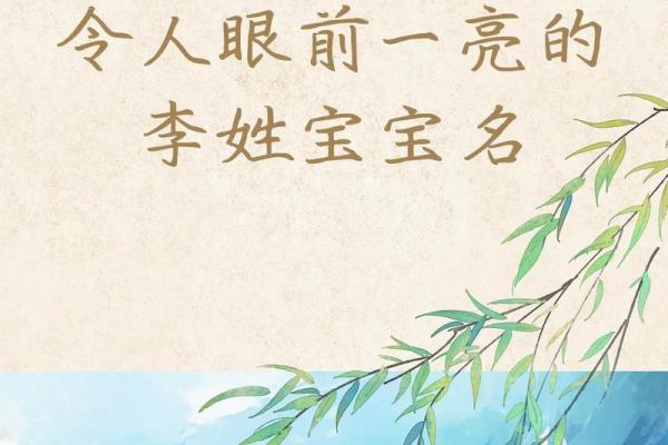 李姓男婴命名解析：为孩子取个好名字的重要性与技巧