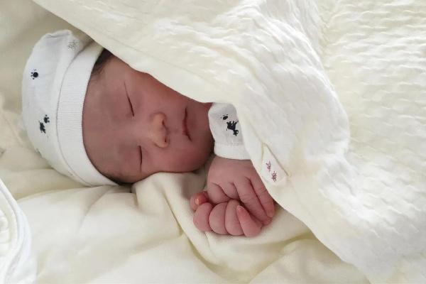 2024年虎宝宝命理解析：如何助力小虎崽健康成长？