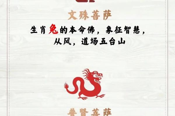 34年生肖分析：属什么？命运如何？详细解读！