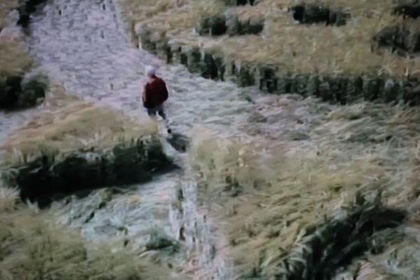 改命之路：选择你的武器，让命运掌握在自己手中！