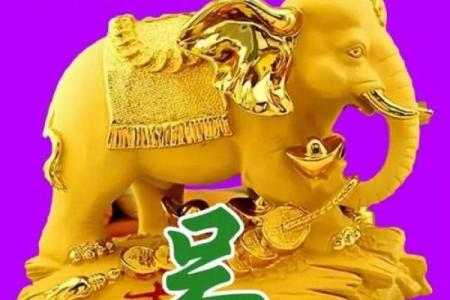 根据姓氏解析最聚财命的秘诀，让财富更轻松到来！