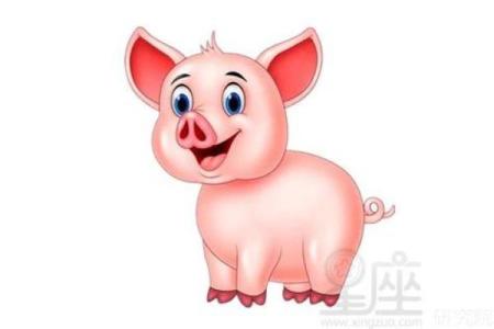 探讨83年属猪女人的命运与性格特征