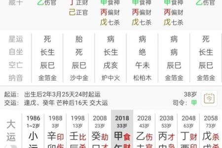 2023兔年命理解读：探索兔年的吉凶与运势