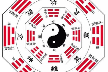 新四命与东四命：探寻命理学中的奇妙差异