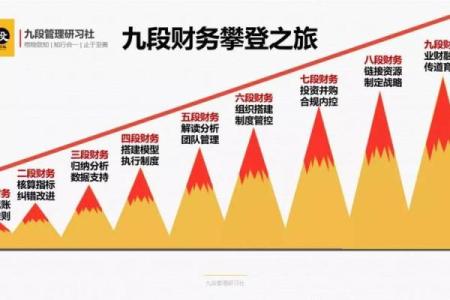 弃命从财：命格解读与人生智慧的融合之路
