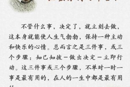 1990年出生的人命运解析：人生的辉煌与挑战