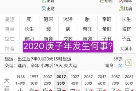 庚子年命运解析：解读2020年背后的命理之道