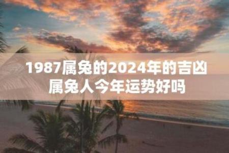 1987年兔年命运解析：揭示生肖兔的性格与运势