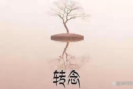 大人83岁是什么命？浅析老年人的命运与生活智慧