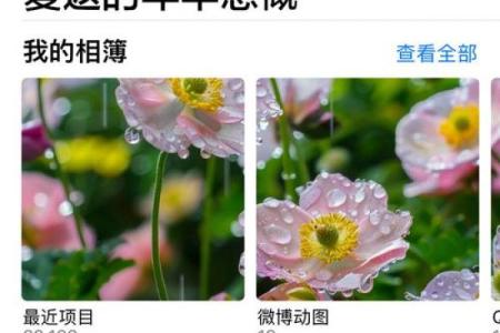 1981年的回忆：浓烈的岁月印记与梦幻的青春岁月