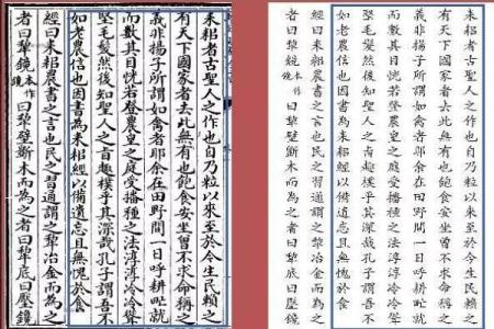 探索学士命：命理学中潜藏的智慧与机遇