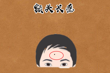 命里含官运之人的特征与发展潜力探究